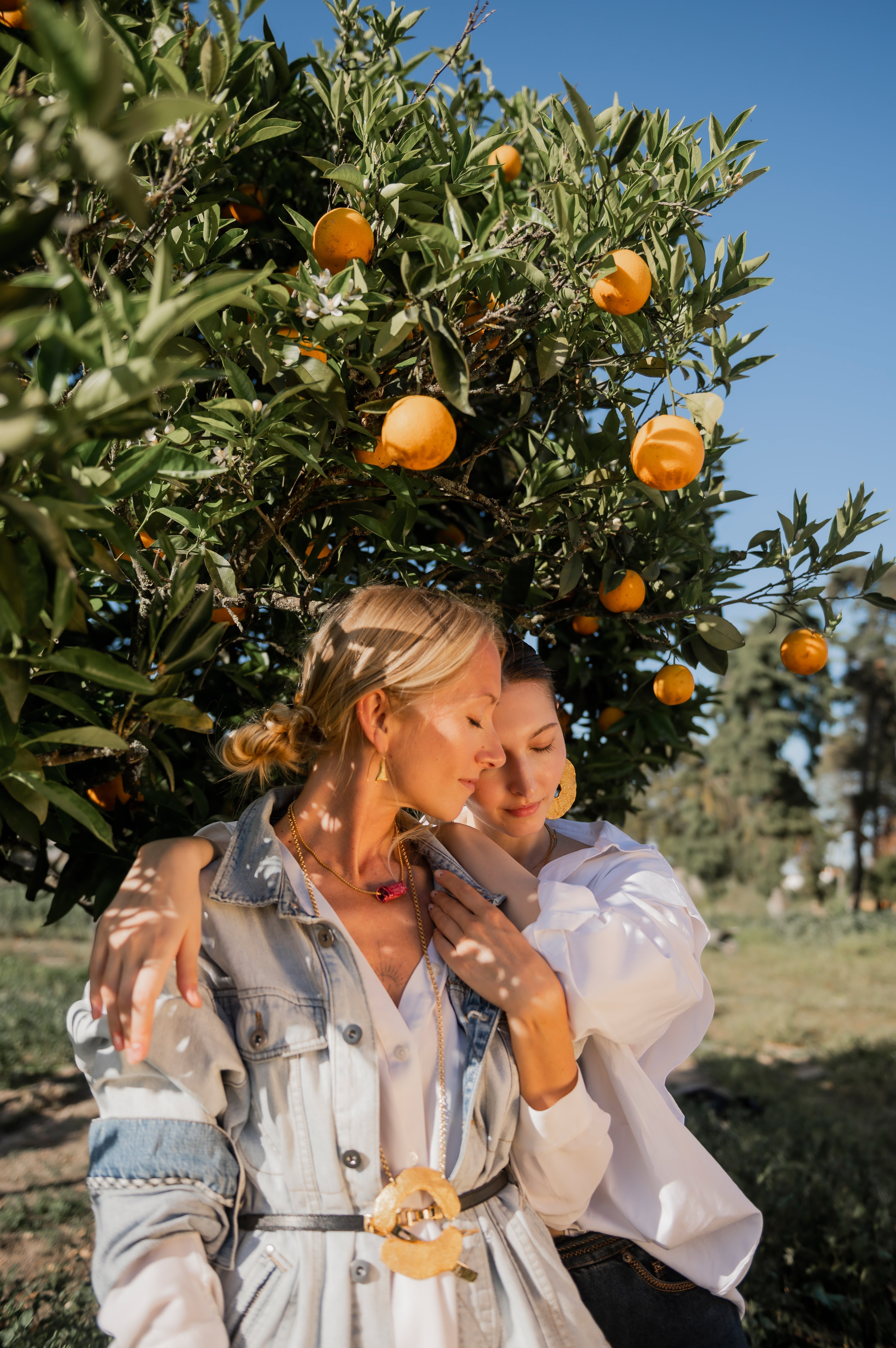 Unveil 5 Secrets of the Orange Skin Collection