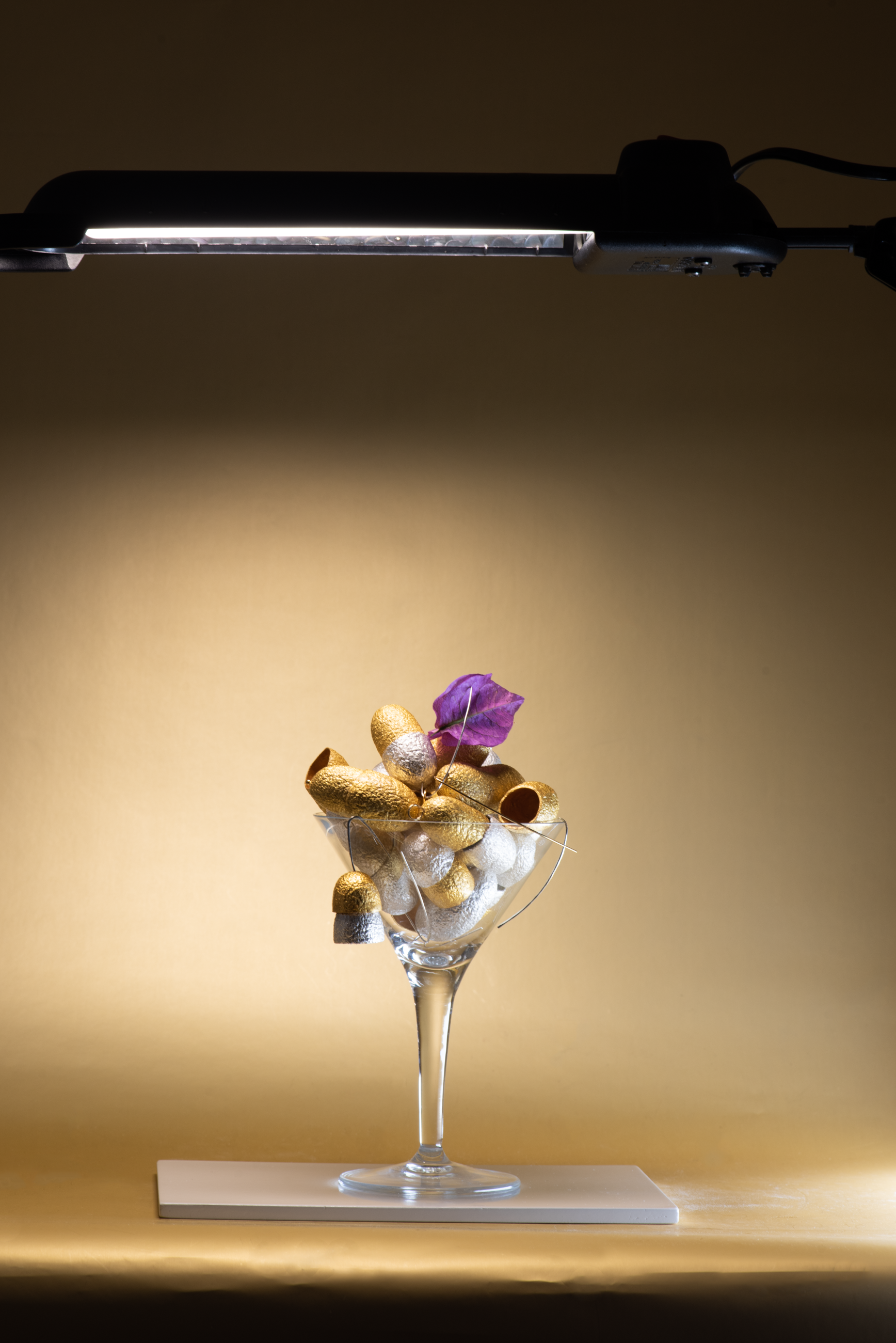 premium silk cocoons