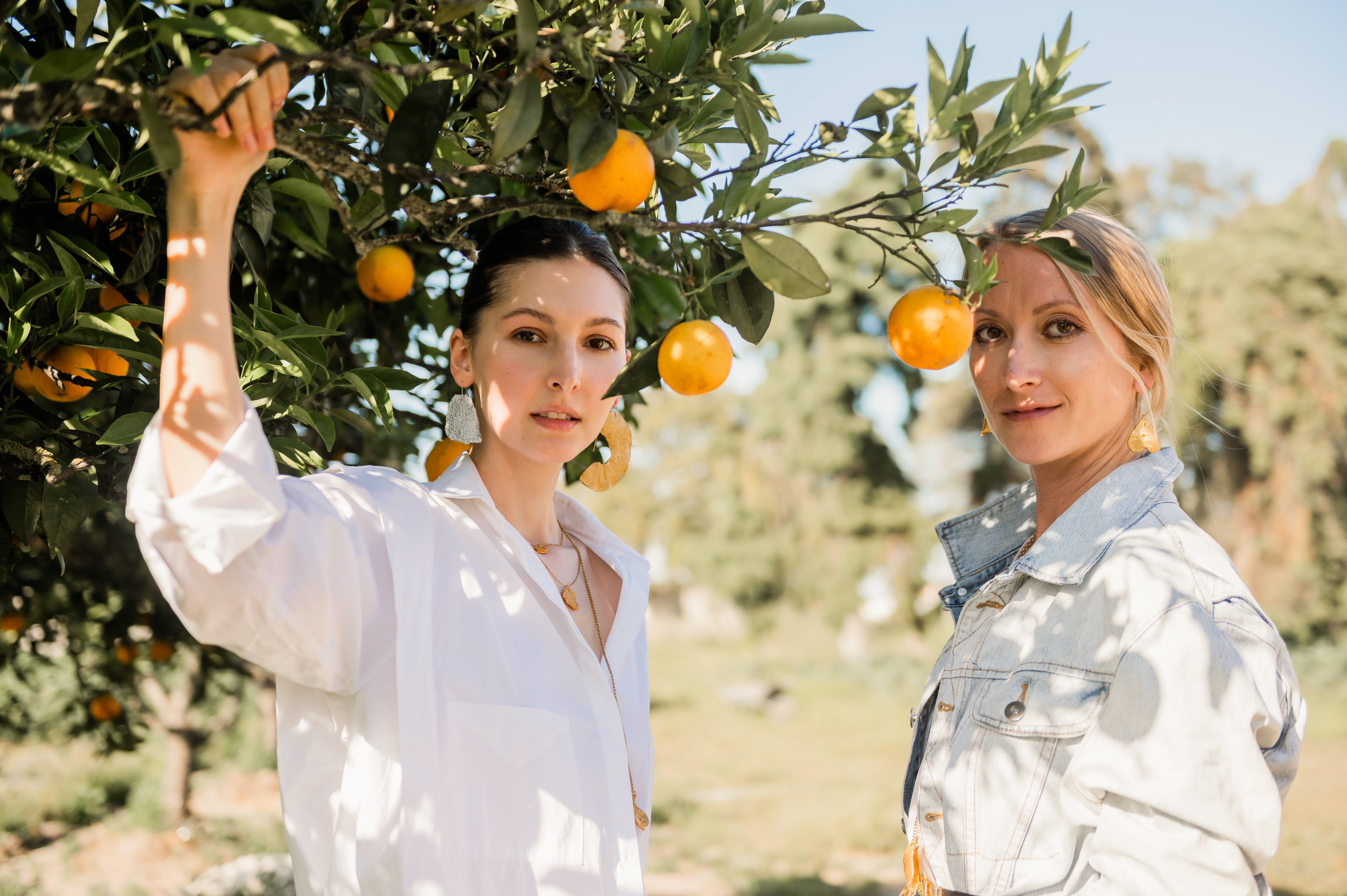 Orange Skin Collection